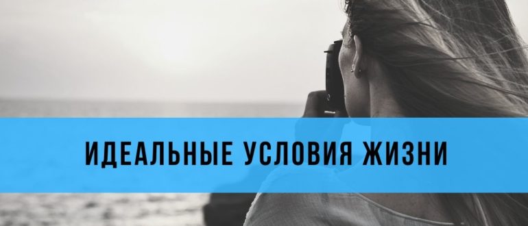 мышиный рай